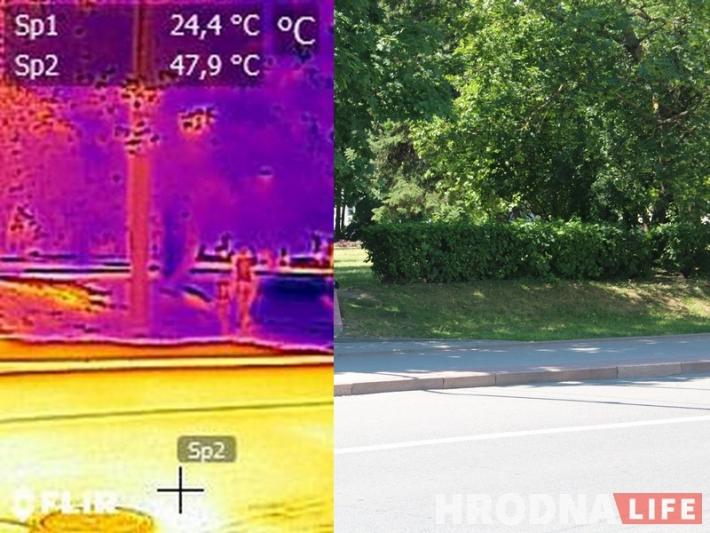ÐÑÐ¾Ð´Ð½Ð°, Ð»ÐµÑÐ° 2019 Ð³Ð¾Ð´Ð°
