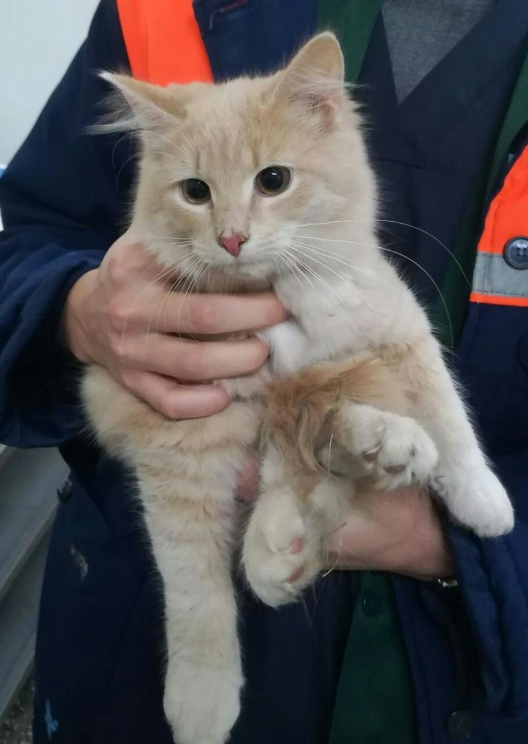Ð¡Ð´Ð°Ð»Ð¸ Ð²Ð¼ÐµÑÑÐµ Ñ Ð±ÑÐ°ÑÐ¾Ð¼, ÐºÐ¾ÑÑÐ½ÐºÑ 4 Ð¼ÐµÑÑÑÐ°. Ð¥Ð¾Ð·ÑÐ¹ÐºÐµ ÑÑÐ°Ð»Ð¾ ÑÑÑÐ´Ð½Ð¾ ÑÐ¾Ð´ÐµÑÐ¶Ð°ÑÑ.