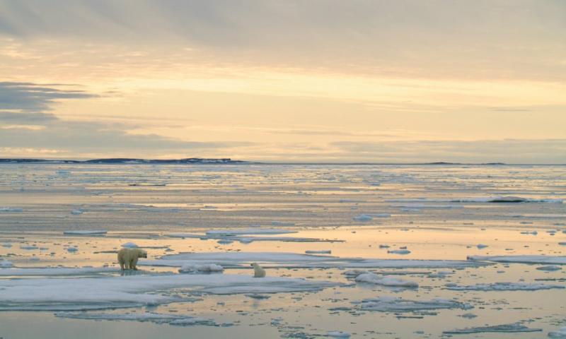  Kt Miller/Polar Bears International
