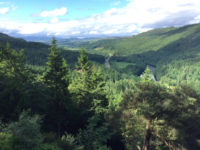  borealforestplatform.org