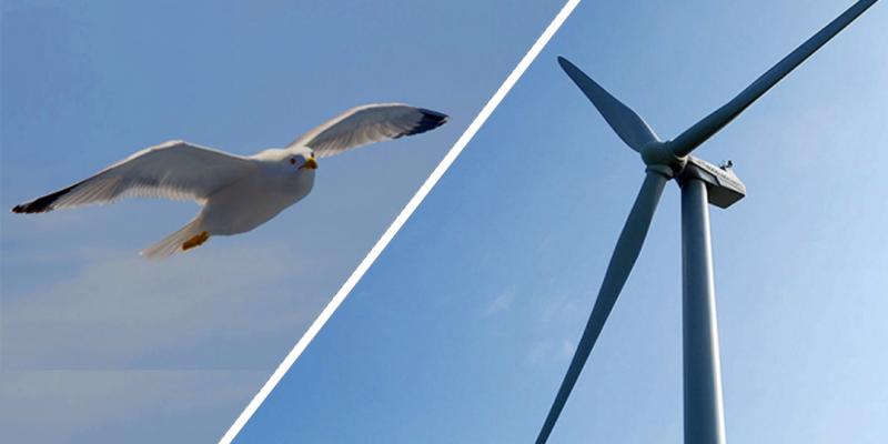 windpower.by