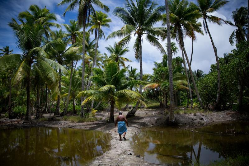 Ð¤Ð¾ÑÐ¾: nytimes.com