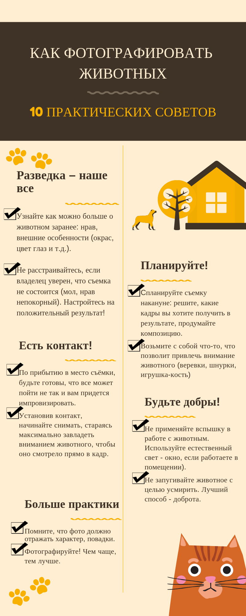 http://project.greenbelarus.info/photo-animals