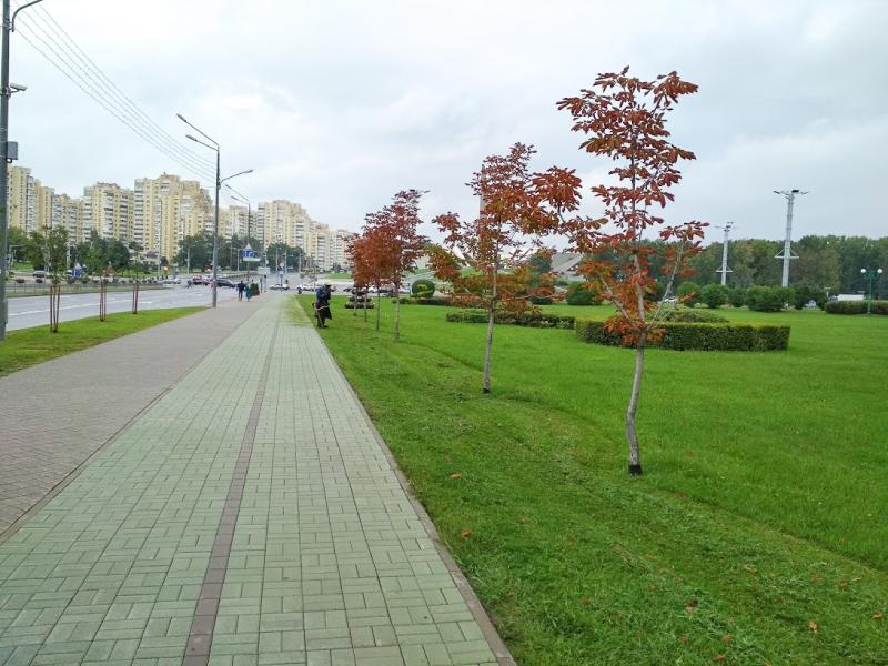 ÐÐ¸Ð½ÑÐº, ÑÐ°Ð¶ÐµÐ½ÑÑ Ð²Ð´Ð¾Ð»Ñ Ð¿ÑÐ¾ÑÐ¿ÐµÐºÑÐ° ÐÐ¾Ð±ÐµÐ´Ð¸ÑÐµÐ»ÐµÐ¹, Ð°Ð²Ð³ÑÑÑ 2019 Ð³Ð¾Ð´Ð°.