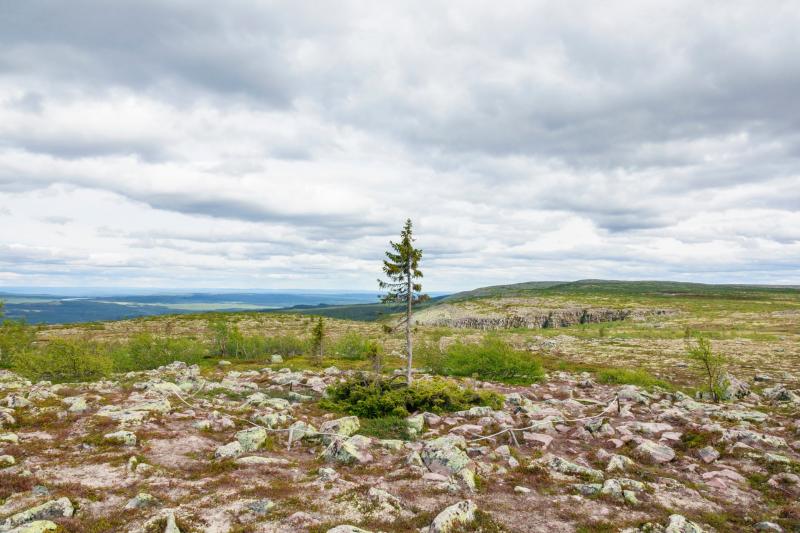 Ð¤Ð¾ÑÐ¾ - Lars Johansson/Getty Images/iStockphoto