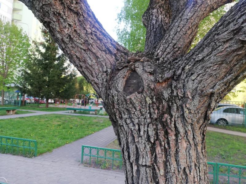 Ð¡Ð¿Ð¸Ð», ÐºÐ¾ÑÐ¾ÑÑÐ¹ Ð½Ðµ Ð·Ð°ÑÐ¾Ñ
