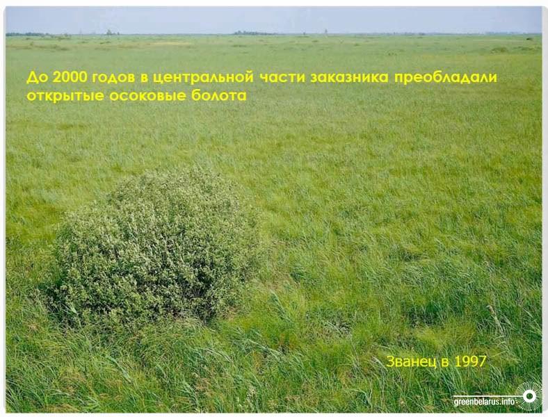 ÐÐ»Ð»ÑÑÑÑÐ°ÑÐ¸Ð¸ Ð¸Ð· Ð¿ÑÐµÐ·ÐµÐ½ÑÐ°ÑÐ¸Ð¸ ÐÐ»ÐµÐºÑÐ°Ð½Ð´ÑÐ° ÐÐ¾Ð·ÑÐ»Ð¸Ð½Ð°, Ð·Ð°Ð²ÑÐµÐºÑÐ¾ÑÐ¾Ð¼ Ð¼ÐµÐ¶Ð´ÑÐ½Ð°ÑÐ¾Ð´Ð½Ð¾Ð³Ð¾ ÑÐ¾ÑÑÑÐ´Ð½Ð¸ÑÐµÑÑÐ²Ð° ÐÐ°ÑÑÐ½Ð¾-Ð¿ÑÐ°ÐºÑÐ¸ÑÐµÑÐºÐ¾Ð³Ð¾ ÑÐµÐ½ÑÑÐ°Â&nbsp;ÐÐÐ ÐÐµÐ»Ð°ÑÑÑÐ¸ Ð¿Ð¾ Ð±Ð¸Ð¾ÑÐµÑÑÑÑÐ°Ð¼