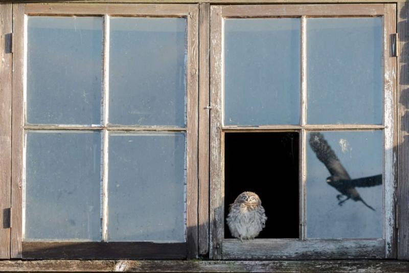 Ð¤Ð¾ÑÐ¾ - Paul Holman