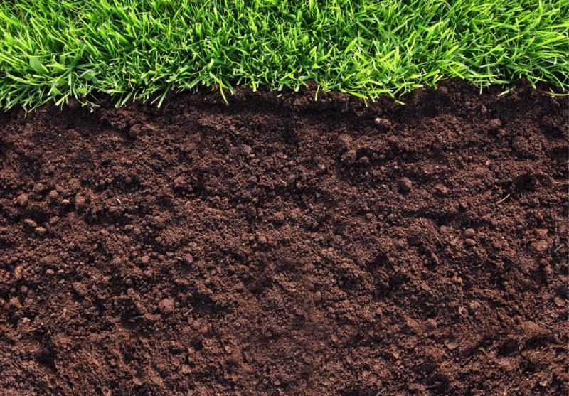 agroportal-ziz.ru