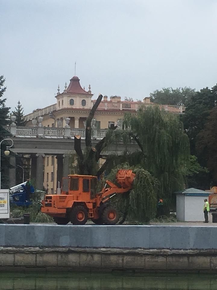 Ð¤Ð¾ÑÐ° - ÐÐ¾Ð»ÑÐ³Ð° Ð§ÑÐºÑÐ»Ð°ÐµÐ²Ð°