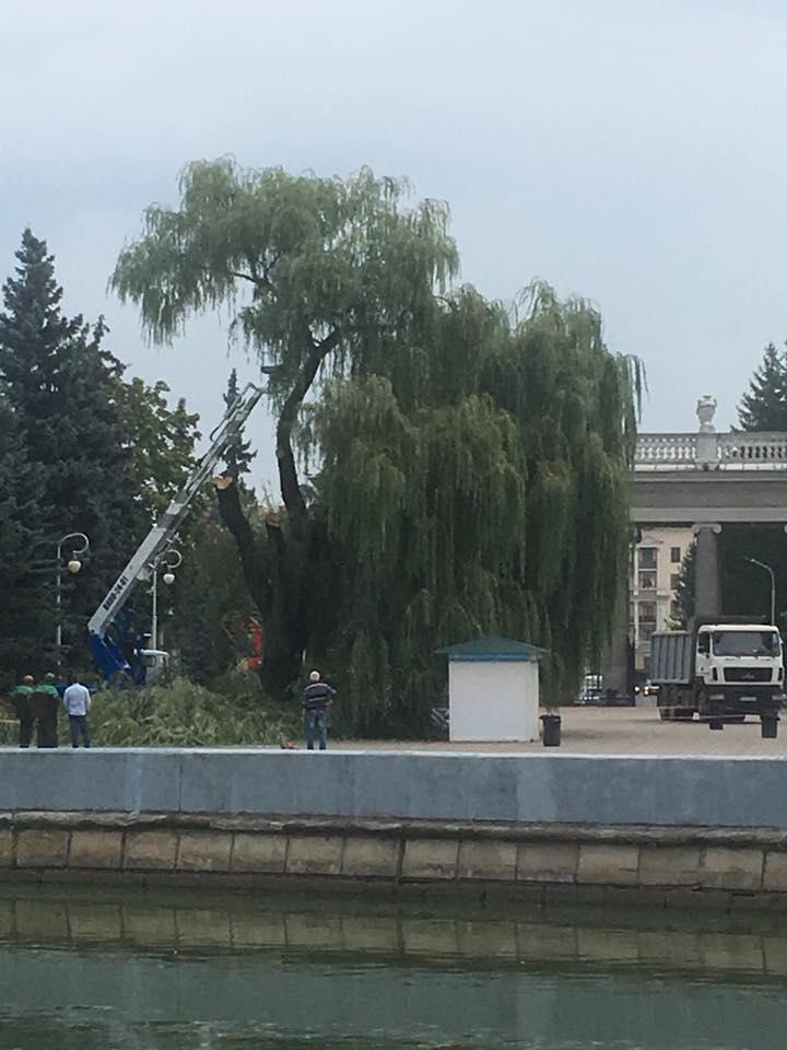 Ð¤Ð¾ÑÐ° - ÐÐ¾Ð»ÑÐ³Ð° Ð§ÑÐºÑÐ»Ð°ÐµÐ²Ð°
