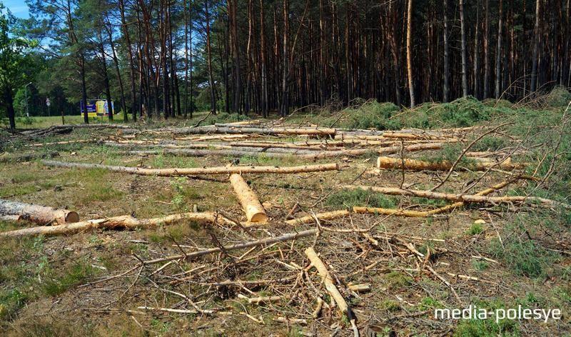 Ð¡Ð¿Ð»Ð¾ÑÐ½Ð°Ñ ÑÐ°Ð½Ð¸ÑÐ°ÑÐ½Ð°Ñ Ð²ÑÑÑÐ±ÐºÐ° ÑÐ¾ÑÐ½Ñ Ñ Ð¤ÑÑÐ±Ð¾Ð»ÑÐ½Ð¾Ð¹ Ð°ÐºÐ°Ð´ÐµÐ¼Ð¸Ð¸