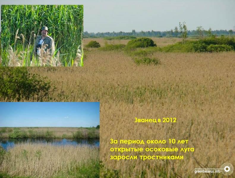 ÐÐ»Ð»ÑÑÑÑÐ°ÑÐ¸Ð¸ Ð¸Ð· Ð¿ÑÐµÐ·ÐµÐ½ÑÐ°ÑÐ¸Ð¸ ÐÐ»ÐµÐºÑÐ°Ð½Ð´ÑÐ° ÐÐ¾Ð·ÑÐ»Ð¸Ð½Ð°, Ð·Ð°Ð²ÑÐµÐºÑÐ¾ÑÐ¾Ð¼ Ð¼ÐµÐ¶Ð´ÑÐ½Ð°ÑÐ¾Ð´Ð½Ð¾Ð³Ð¾ ÑÐ¾ÑÑÑÐ´Ð½Ð¸ÑÐµÑÑÐ²Ð° ÐÐ°ÑÑÐ½Ð¾-Ð¿ÑÐ°ÐºÑÐ¸ÑÐµÑÐºÐ¾Ð³Ð¾ ÑÐµÐ½ÑÑÐ°Â&nbsp;ÐÐÐ ÐÐµÐ»Ð°ÑÑÑÐ¸ Ð¿Ð¾ Ð±Ð¸Ð¾ÑÐµÑÑÑÑÐ°Ð¼