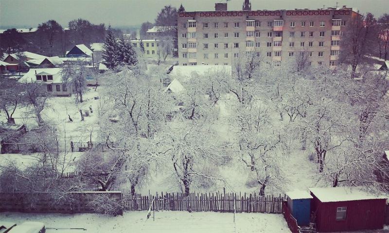ÐÐ¸Ð»ÐµÐ¹ÐºÐ°. Ð¤Ð¾ÑÐ¾ â Ð®Ð»Ð¸Ñ Ð¡Ð¸Ð²Ð¸ÑÐºÐ°Ñ