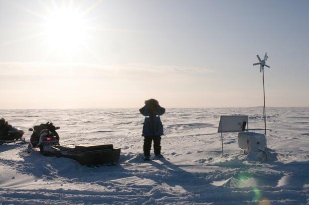 Polar Bears International