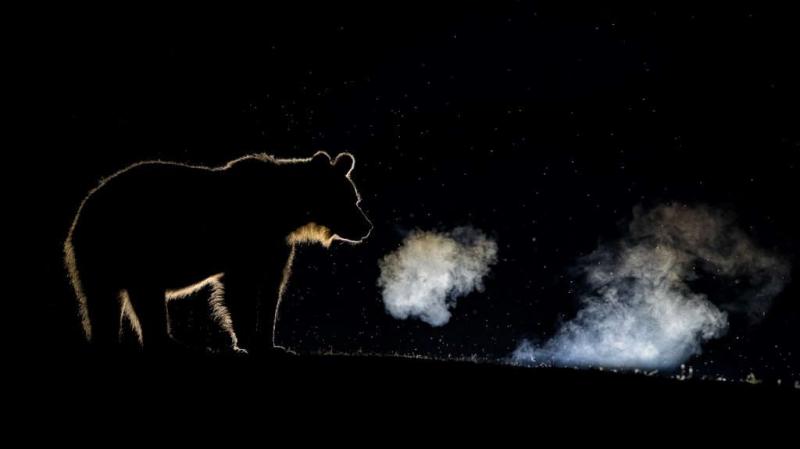 Ð¤Ð¾ÑÐ¾ - Bence MÃ¡tÃ©