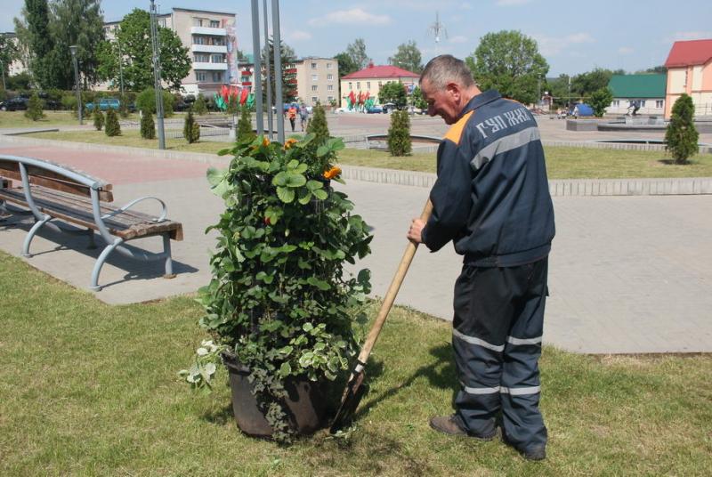  Ð² Ð¡Ð»Ð¾Ð½Ð¸Ð¼Ðµ Ð²Ð¾Ð·Ð»Ðµ ÑÐ°Ð¹Ð¸ÑÐ¿Ð¾Ð»ÐºÐ¾Ð¼Ð° Ð¿Ð¾ÑÐ²Ð¸Ð»Ð¸ÑÑ Ð²ÐµÑÑÐ¸ÐºÐ°Ð»ÑÐ½ÑÐµ Ð³ÑÑÐ´ÐºÐ¸ Ñ ÐºÐ»ÑÐ±Ð½Ð¸ÐºÐ¾Ð¹