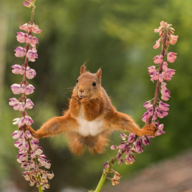 Ð&nbsp;Ð°Ð²Ð½Ð¾Ð²ÐµÑÐ¸Ðµ (Ð°Ð²ÑÐ¾Ñ - Geert Weggen)