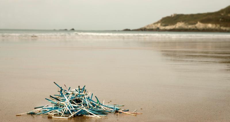 Ватные палочки часто находят в морском пластиковом мусоре. Фото – citytosea.org.uk