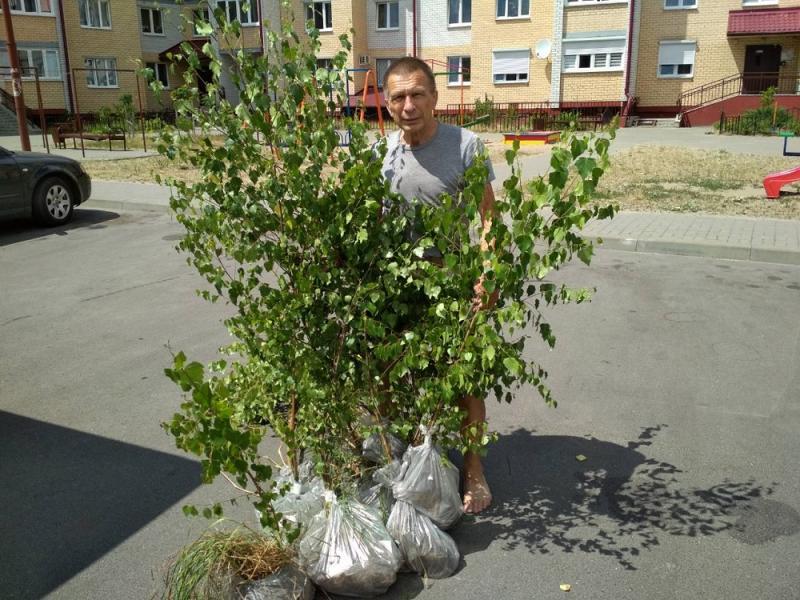 ÐÐ´Ð¸Ð½ Ð¸Ð· Ð¿ÑÐ¾ÑÐ»ÑÑ Ð¿ÑÐ¾ÐµÐºÑÐ¾Ð² Ð² ÑÐ°Ð¼ÐºÐ°Ñ Ð¿ÑÐ¾Ð³ÑÐ°Ð¼Ð¼Ñ â Ð¿Ð¾ÑÐ°Ð´ÐºÐ° Ð´ÐµÑÐµÐ²ÑÐµÐ².