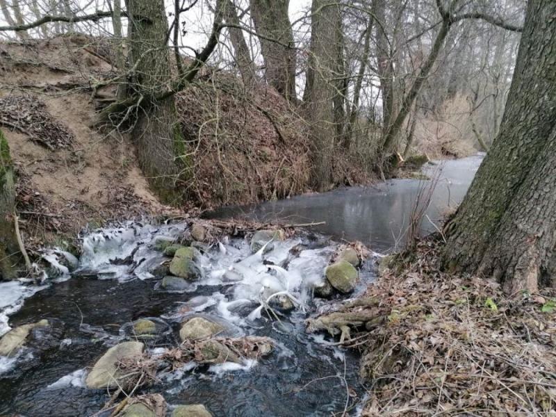  ÑÐµÑÐµÐ½Ð¸Ðµ Ð·Ð°Ð¼ÐµÐ´Ð»ÑÐµÑÑÑ, Ð´Ð½Ð¾ ÑÐµÐºÐ¸ Ð¿Ð¾ÐºÑÑÐ²Ð°ÐµÑÑÑ Ð¼ÑÑÐ¾ÑÐ¾Ð¼