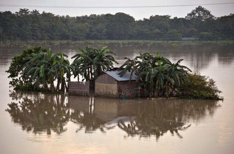 ÐÑÐ¶ÑÐ¸Ð½Ð° Ð·Ð°Ð±ÑÐ°ÑÑÐ²Ð°ÐµÑ ÑÑÐ±Ð¾Ð»Ð¾Ð²Ð½ÑÑ ÑÐµÑÑ Ð² Ð¿Ð°Ð²Ð¾Ð´ÐºÐ¾Ð²ÑÐµ Ð²Ð¾Ð´Ñ, ÐÐ½Ð´Ð¸Ñ (Ð¤Ð¾ÑÐ¾ Reuters)