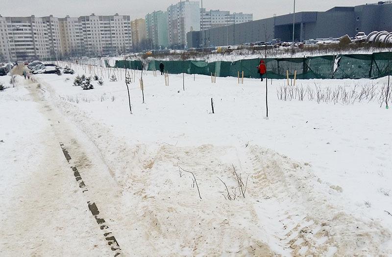 Ð¢Ð°Ðº Ð²ÑÐ³Ð»ÑÐ´Ð¸Ñ ÑÐ¾Ð·Ð° Ð½Ð° ÐÐ°Ð¼ÐµÐ½Ð½Ð¾Ð¹ Ð³Ð¾ÑÐºÐµ, ÐºÐ¾ÑÐ¾ÑÐ°Ñ Ð¿ÑÑÐ°Ð»Ð°ÑÑ Ð¿ÐµÑÐµÐ¶Ð¸ÑÑ ÐºÐ¾Ð»ÐµÑÐ° ÑÑÐ°ÐºÑÐ¾ÑÐ°, Ð¿ÐµÑÐ¾Ðº Ð¸ ÑÐ¾Ð»Ñ. Ð¤Ð¾ÑÐ¾ â ÐÐ»ÐµÐºÑÐ°Ð½Ð´Ñ ÐÐ²Ð°Ð½Ð¾Ð², blizko.by