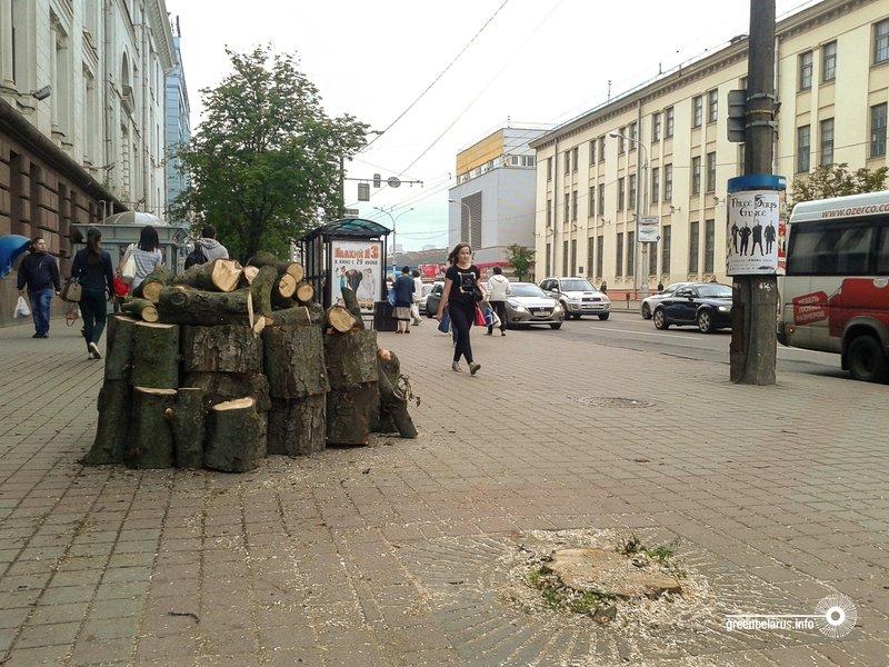 Ð£ Ð¿Ð»Ð¾ÑÐ°Ð´Ð¸ Ð¯ÐºÑÐ±Ð° ÐÐ¾Ð»Ð°ÑÐ°, Ð»ÐµÑÐ¾ 2017. Ð¤Ð¾ÑÐ¾ â ÐÐ½Ð½Ð° ÐÐ¾Ð»ÑÐ½ÐµÑ