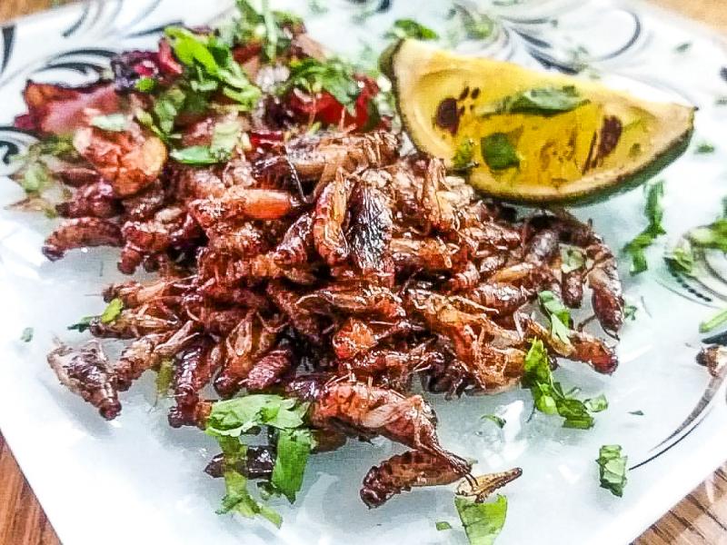 Ð¡Ð²ÐµÑÑÐ¾Ðº Ð¶Ð°ÑÐµÐ½Ð½ÑÐ¹ Ð² Ð¾Ð»Ð¸Ð²ÐºÐ¾Ð²Ð¾Ð¼ Ð¼Ð°ÑÐ»Ðµ Ñ Ð¾Ð²Ð¾ÑÐ°Ð¼Ð¸ Ð¸ ÑÐ¾ÐºÐ¾Ð¼ Ð»Ð°Ð¹Ð¼Ð°