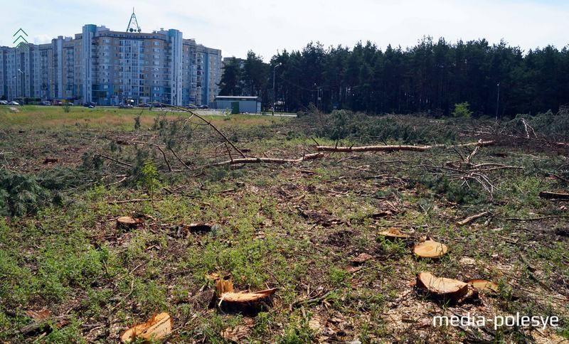 ÐÑÑÐ°Ð»Ð¸ÑÑ ÑÐ¾Ð»ÑÐºÐ¾ Ð¿ÐµÐ½ÑÐºÐ¸