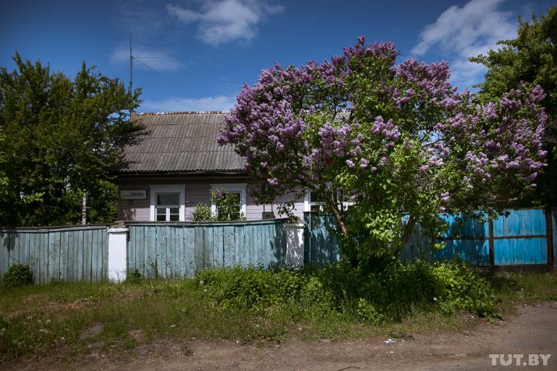 ÐÑÐ»ÑÑÐ° ÐÑÐ¼Ð¾Ð²Ð°Ñ. Ð¤Ð¾ÑÐ° â ÐÐ¾Ð»ÑÐ³Ð° Ð¨ÑÐºÐ°Ð¹Ð»Ð°
