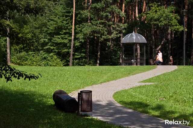 Ð Ð¦ÐµÐ½ÑÑÐ°Ð»ÑÐ½Ð¾Ð¼ ÑÐ°Ð¹Ð¾Ð½Ðµ Ð·Ð°Ð±ÑÐ»Ð¸ Ð¿ÑÐ¾ ÑÐ°ÑÑÑ Ð»ÐµÑÐ¾Ð¿Ð°ÑÐºÐ° âÐÑÐ¾Ð·Ð´Ñâ. Ð¤Ð¾ÑÐ¾ â relax.by
