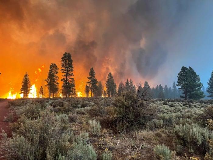   Ð¤Ð¾ÑÐ¾ - National Wildfire Coordinating Group/Inciweb/Zuma/Rex/Shutterstock