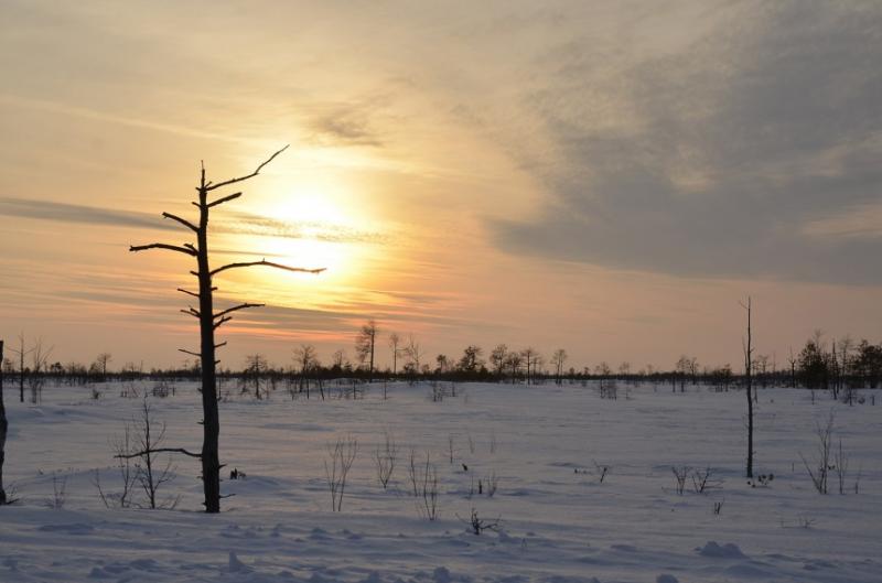 Â&nbsp;Ð¤Ð¾ÑÐ¾ - news.ngs.ru