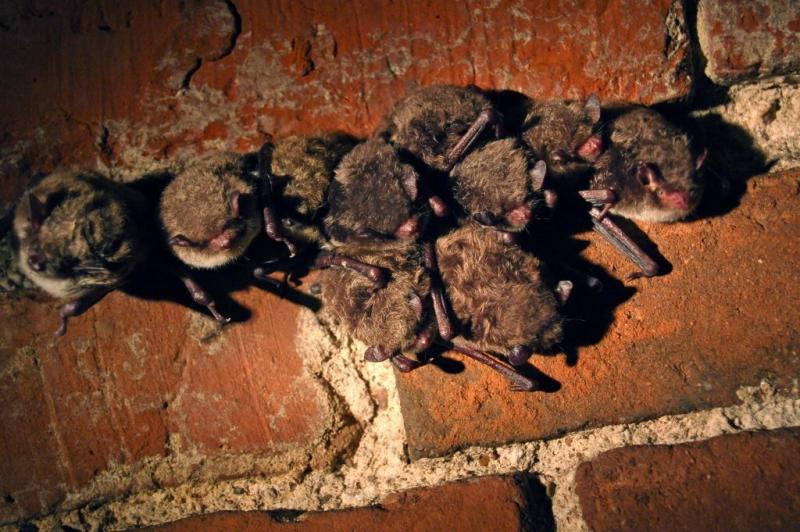 Ð¢Ð°Ðº Ð¼Ð¾Ð¶Ð° Ð²ÑÐ³Ð»ÑÐ´Ð°ÑÑ Ð¼ÐµÑÑÐ°, ÑÐºÐ¾Ðµ Ð²ÑÐ±ÑÐ°Ð»Ñ ÐºÐ°Ð¶Ð°Ð½Ñ Ð½Ð° Ð·ÑÐ¼Ñ Ñ Ð³Ð¾ÑÐ°Ð´Ð·Ðµ. Ð¤Ð¾ÑÐ° â gorod.lv