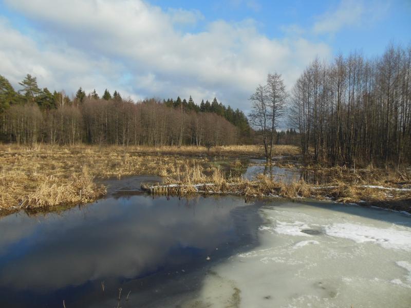 ÐÐµÐ¶Ð´Ñ Ð¿ÐµÑÐ²ÑÐ¼ Ð¸ Ð²ÑÐ¾ÑÑÐ¼ ÑÐ¾ÑÐ¾ ÑÐ°Ð·Ð½Ð¸ÑÐ° Ð² Ð½ÐµÑÐºÐ¾Ð»ÑÐºÐ¾ Ð´Ð½ÐµÐ¹. Ð¤Ð¾ÑÐ¾ â ÐÐ³Ð¾ÑÑ ÐÐ°ÑÑÑÑÐ¾Ð²
