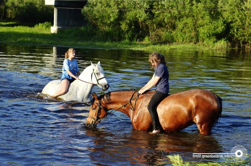 ÐÐµÑÐ¾Ð¼ ÑÑÐµÐ½Ð¸ÐºÐ¸ Ð½Ð¾ÑÑÑÑ Ð² Ð¿Ð°Ð»Ð°ÑÐºÐ°Ñ Ð½Ð° ÐºÐ¾Ð½ÑÑÐ½Ðµ, ÑÐ¿ÑÑ Ð½Ð° ÑÐµÐ½Ðµ, ÑÑÑÐ¾Ð¼ ÑÐ¸ÑÑÑÑ ÐºÐ¾Ð½ÐµÐ¹ Ð¸ Ð¸Ð´ÑÑ ÐºÑÐ¿Ð°ÑÑÑÑ Ð½Ð° ÑÐµÑÐºÑ