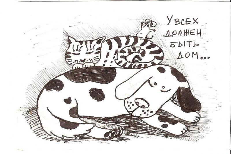 livejournal.com