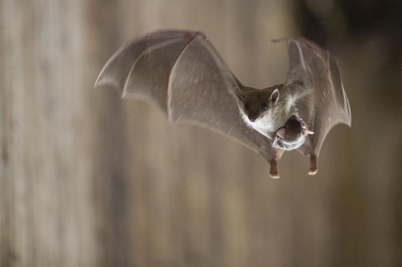 National Geographic Traveler Photo Contest, 2013. 