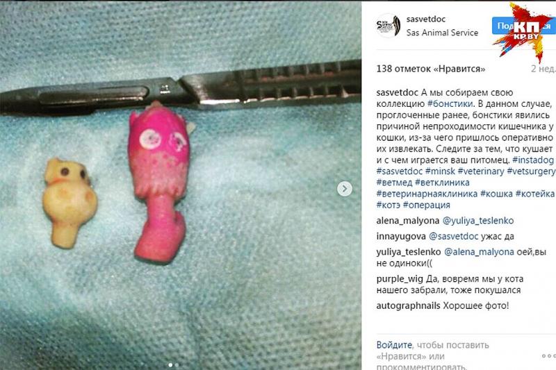  Ð¸Ð½ÑÑÐ°Ð³ÑÐ°Ð¼ Ð²ÐµÑÐºÐ»Ð¸Ð½Ð¸ÐºÐ¸ Sas Animal Service.