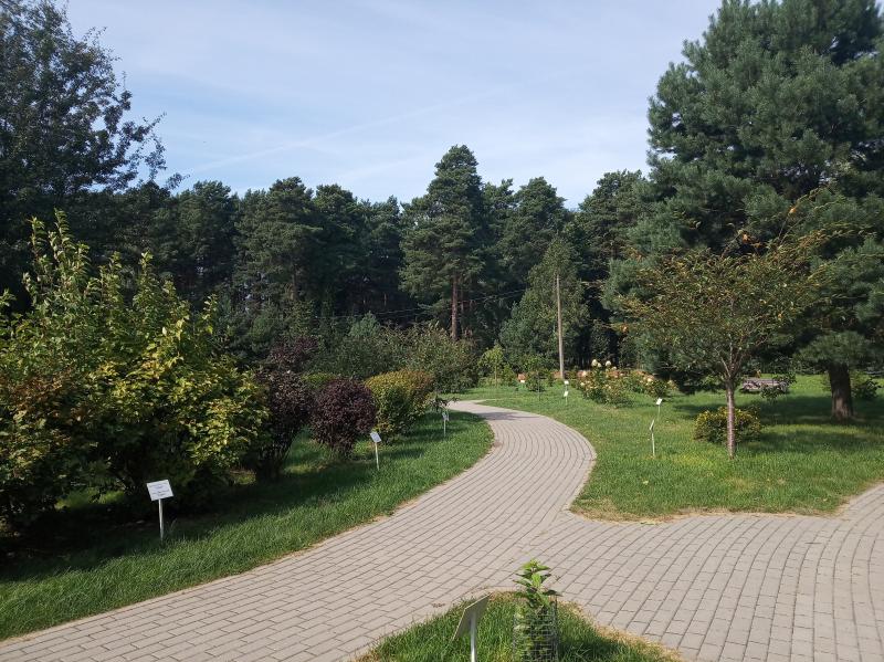 ÐÐ¸Ð½ÑÐºÐ¸Ð¹ Ð±Ð¾ÑÐ°Ð½Ð¸ÑÐµÑÐºÐ¸Ð¹ ÑÐ°Ð´