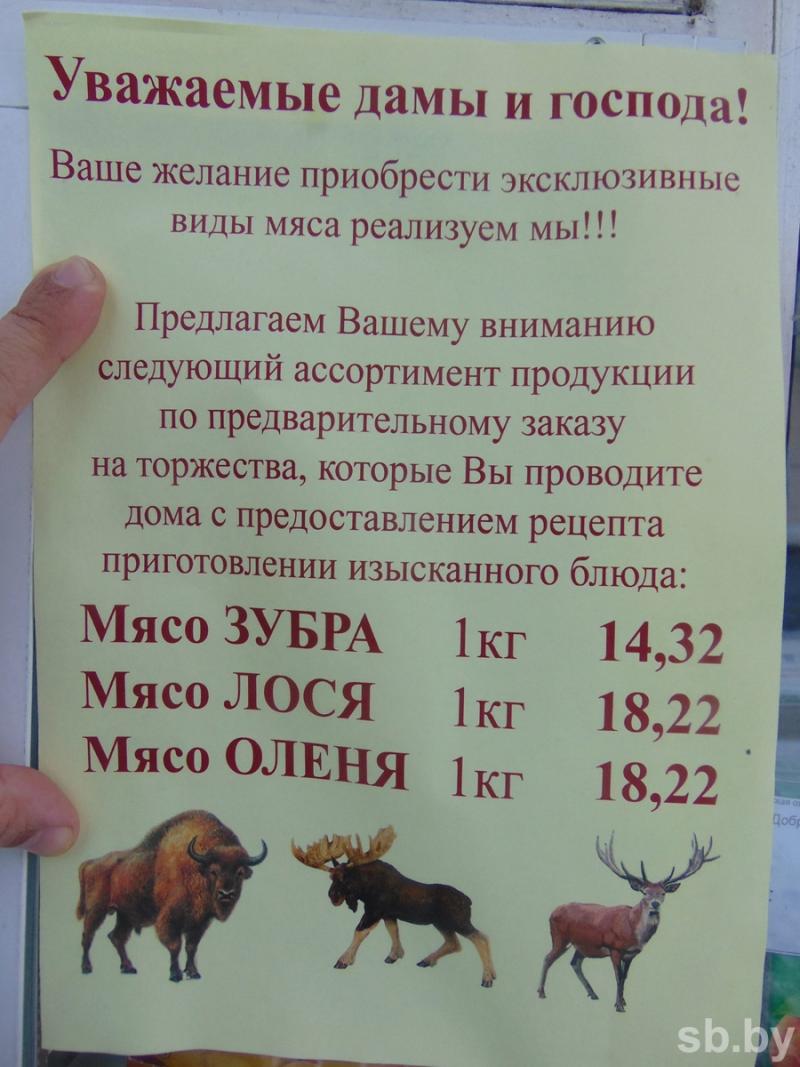 ÐÑÐ°Ð¹Ñ Ð½Ð° Ð·ÑÐ±ÑÑÑÐ¸Ð½Ñ. Ð¤Ð¾ÑÐ¾ ÐÐ»Ð°Ð´Ð¸Ð¼Ð¸ÑÐ° ÐÐ¾Ð·ÑÑÐµÐ²Ð°
