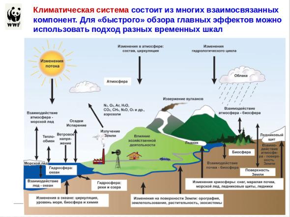 Ð¡ÐºÑÑÐ½ÑÐ¾Ñ Ð· Ð¿ÑÑÐ·ÐµÐ½ÑÐ°ÑÑÑ ÐÐ»ÑÐºÑÐµÑ ÐÐ°ÐºÐ¾ÑÑÐ½Ð°