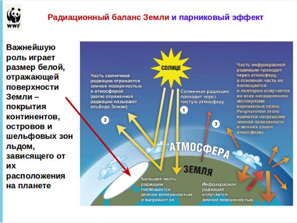 Ð¡ÐºÑÑÐ½ÑÐ¾Ñ Ð· Ð¿ÑÑÐ·ÐµÐ½ÑÐ°ÑÑÑ ÐÐ»ÑÐºÑÐµÑ ÐÐ°ÐºÐ¾ÑÑÐ½Ð°