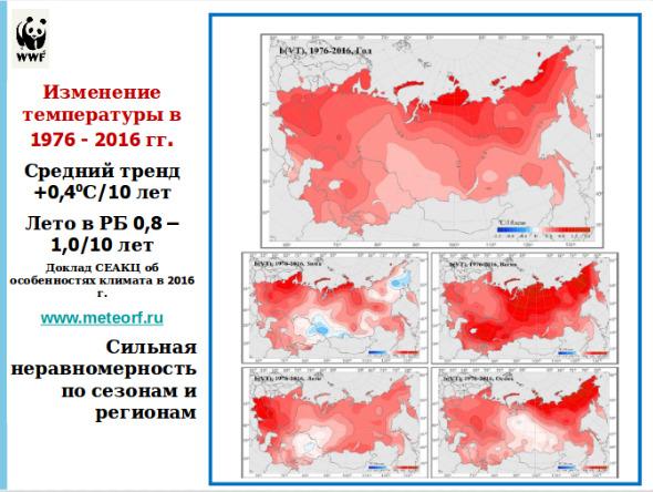 Ð¡ÐºÑÑÐ½ÑÐ¾Ñ Ð· Ð¿ÑÑÐ·ÐµÐ½ÑÐ°ÑÑÑ ÐÐ»ÑÐºÑÐµÑ ÐÐ°ÐºÐ¾ÑÑÐ½Ð°