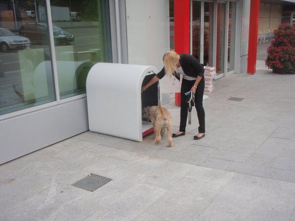 ÐÐ¾ Ð°Ð½Ð³Ð»Ð¸Ð¹ÑÐºÐ¸ ÑÑÐ¾ Ð½Ð°Ð·ÑÐ²Ð°ÑÑ "Dogbox", Ð¿Ð¾ Ð½Ð¾ÑÐ²ÐµÐ¶ÑÐºÐ¸ "Hundeparkering" ("ÐÐ°ÑÐºÐ¾Ð²ÐºÐ° ÑÐ¾Ð±Ð°ÐºÐ¸"). 45-Ð´ÑÐ¹Ð¼Ð¾Ð²ÑÐµ ÑÑÐ¸ÐºÐ¸ (1,1 Ð¼ÐµÑÑÐ°) Ð¸Ð· Ð¾ÑÐ¾Ð±Ð¾Ð¹ Ð¿Ð»Ð°ÑÑÐ¼Ð°ÑÑÑ, ÑÐ½Ð°Ð±Ð¶ÐµÐ½Ð½ÑÐµ Ð·Ð°Ð¼ÐºÐ°Ð¼Ð¸ Ð¸ ÐºÐ¾Ð½Ð´Ð¸ÑÐ¸Ð¾Ð½ÐµÑÐ°Ð¼Ð¸ (Ð´Ð»Ñ Ð¶Ð°ÑÐºÐ¾Ð¹ Ð¿Ð¾Ð³Ð¾Ð´Ñ) Ð±ÑÐ»Ð¸ ÑÐ°Ð·ÑÐ°Ð±Ð¾ÑÐ°Ð½Ñ Ð² ÐÐ¾ÑÐ²ÐµÐ³Ð¸Ð¸ ÐºÐ¾Ð¼Ð°Ð½Ð¸ÐµÐ¹ Norsk Hundeparkering ÐµÑÐµ Ð² 2004 Ð³Ð¾Ð´Ñ Ð¸ ÑÑÑÐ°Ð½Ð¾Ð²Ð»ÐµÐ½Ñ ÑÐµÐ¹ÑÐ°Ñ Ð¿ÐµÑÐµÐ´ Ð²ÑÐ¾Ð´Ð¾Ð¼ Ð² Ð¼Ð°Ð³Ð°Ð·Ð¸Ð½Ñ, ÑÐµÑÐºÐ²Ð¸, Ð°Ð¿ÑÐµÐºÐ¸, Ð±Ð¸Ð±Ð»Ð¸Ð¾ÑÐµÐºÐ¸ Ð¸ Ð¿ÑÐ¾ÑÐ¸Ðµ Ð¾Ð±ÑÐµÑÑÐ²ÐµÐ½Ð½ÑÐµ Ð·Ð°Ð²ÐµÐ´ÐµÐ½Ð¸Ñ.  