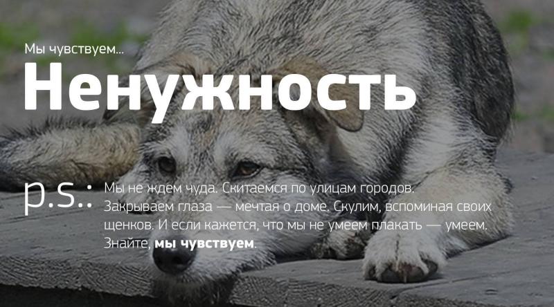 livejournal.com
