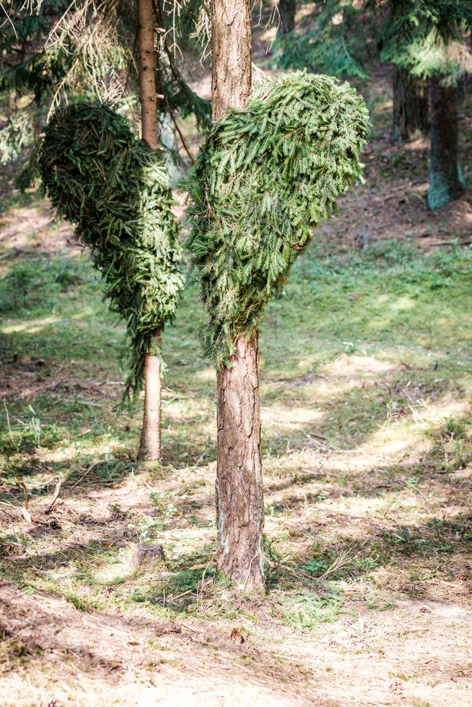 Land Art Camp Belarus 2017. ÐÐ°ÑÑÐ¸Ð½ Ð¯Ð±Ð»Ð¾Ð½ÑÐºÐ¸Ð¹, ÐÐ¾Ð»ÑÑÐ° Ð¸ ÐÐ»ÑÐ³Ð° ÐÐ°Ð¹Ð´ÑÐºÐµÐ²Ð¸Ñ, ÐÐµÐ»Ð°ÑÑÑÑ â Â«ÐÐ¾Ð»Ð¾Ð²Ð¸Ð½ÐºÐ¸Â»