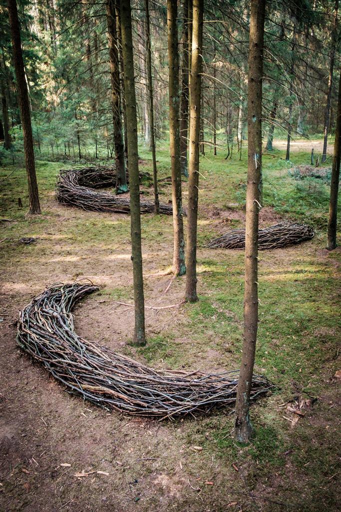 Land Art Camp Belarus 2017. ÐÐ»ÐµÐ½Ð° Ð¡Ð²ÐµÑÑÐ¸Ð½ÑÐºÐ°Ñ, ÐÐ»ÑÐ³Ð° Ð¤ÐµÐ´Ð¾ÑÐµÐµÐ²Ð° , ÐÐµÐ»Ð°ÑÑÑÑ â Â«Ð­Ð½ÐµÑÐ³Ð¸Ñ Ð¶Ð¸Ð·Ð½Ð¸Â»