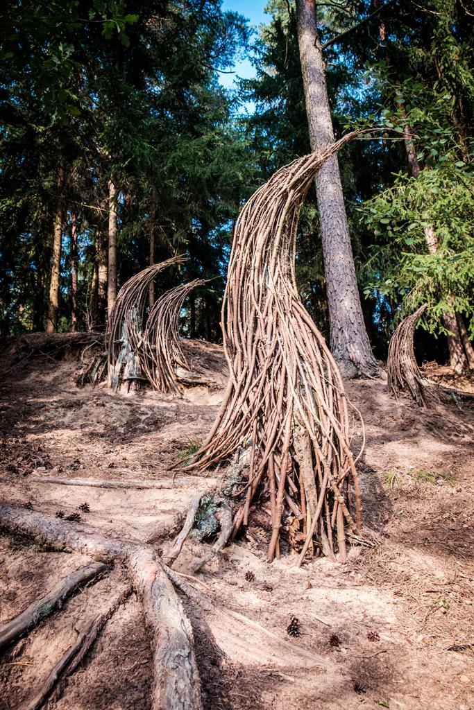 Land Art Camp Belarus 2017. ÐÐ¾ÑÐ¸Ñ ÐÐµÐ½ÑÐ¹Ð»Ð¾Ð² Ð¸ ÐÐ¾ÑÐ¸Ñ ÐÐ°ÑÐ»Ð°Ð²ÑÐºÐ¸Ð¹, Ð&nbsp;Ð¾ÑÑÐ¸Ñ â Â«ÐÐ¾Ð²ÑÑ ÑÐ½Ð¾Ð²Â»